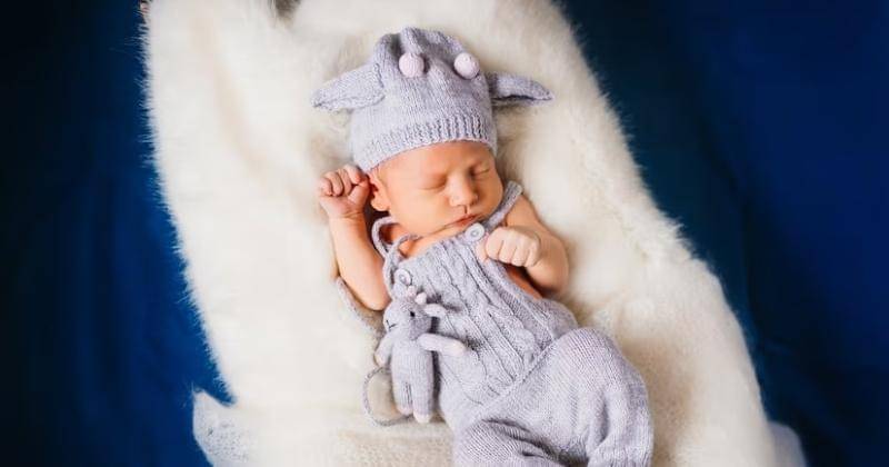 Freepik/freepic.diller